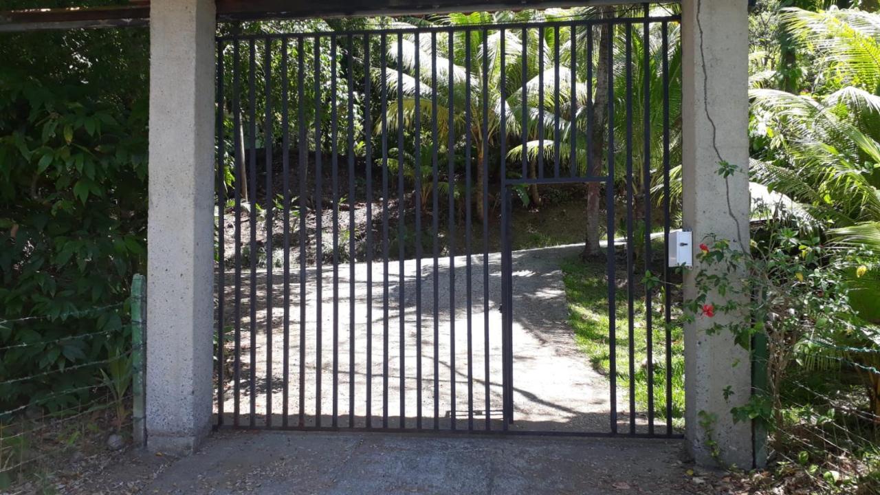فندق Iguana Libre دومينيكال المظهر الخارجي الصورة