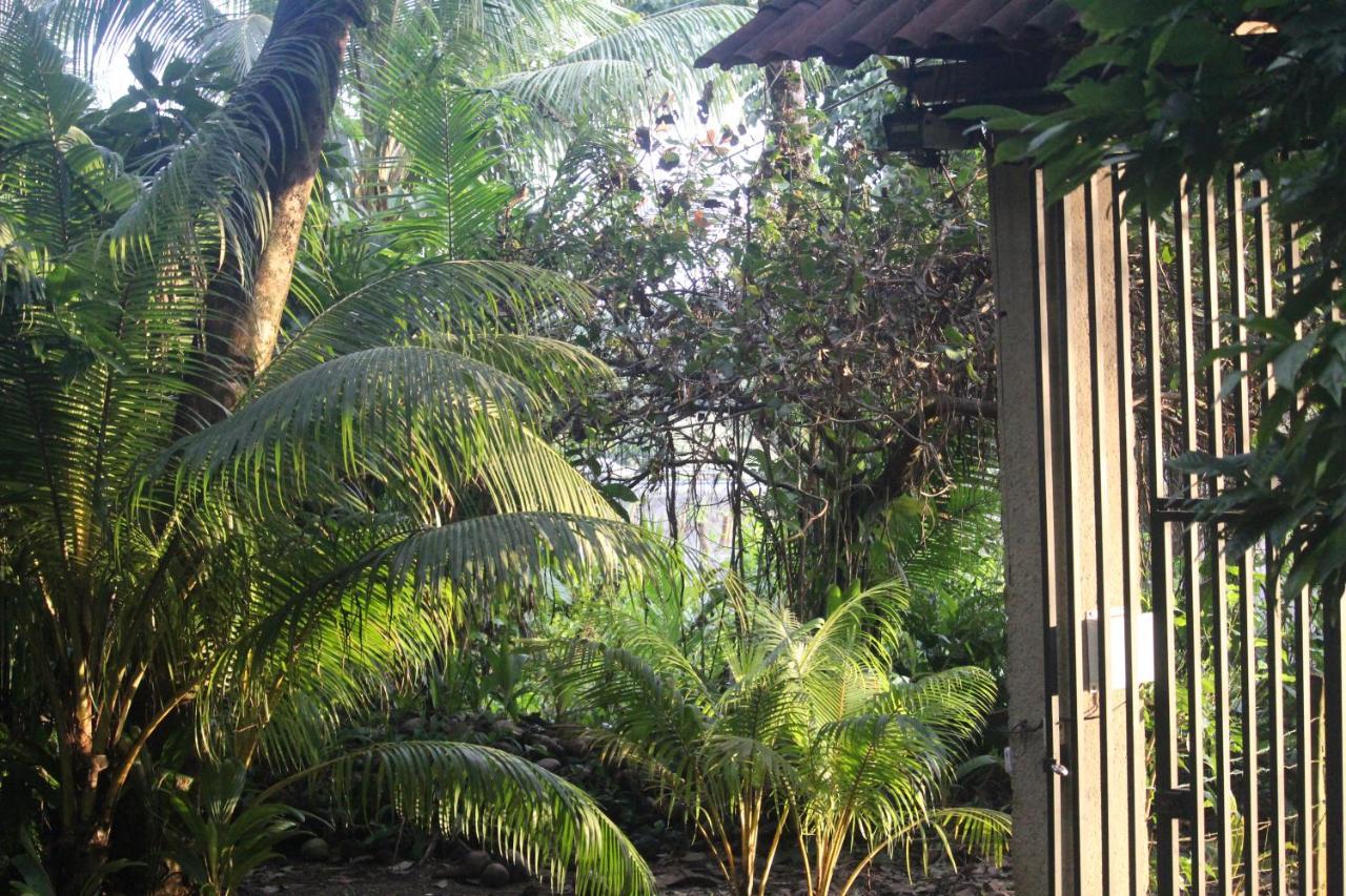 فندق Iguana Libre دومينيكال المظهر الخارجي الصورة
