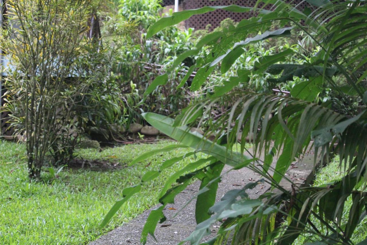 فندق Iguana Libre دومينيكال المظهر الخارجي الصورة